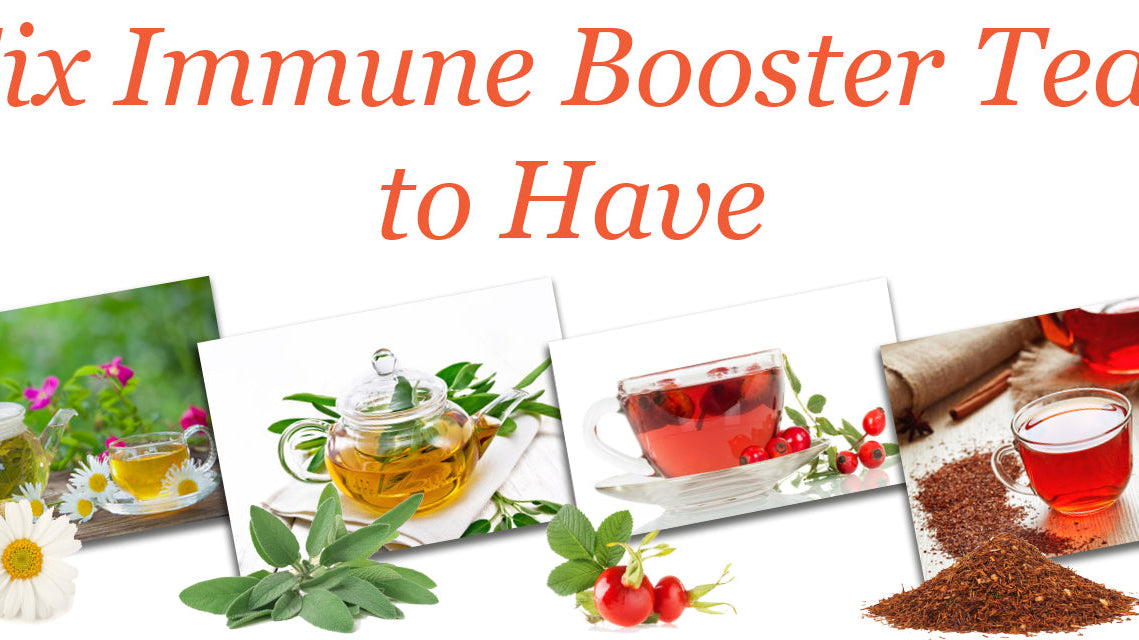 Six Immune Booster Teas to Have!