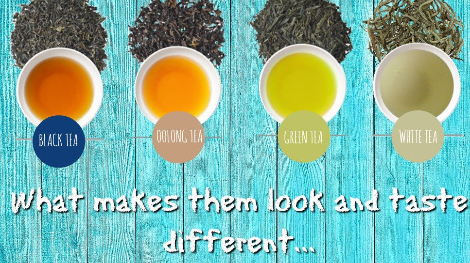 What makes them different?