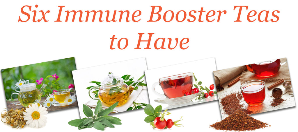 Six Immune Booster Teas to Have!
