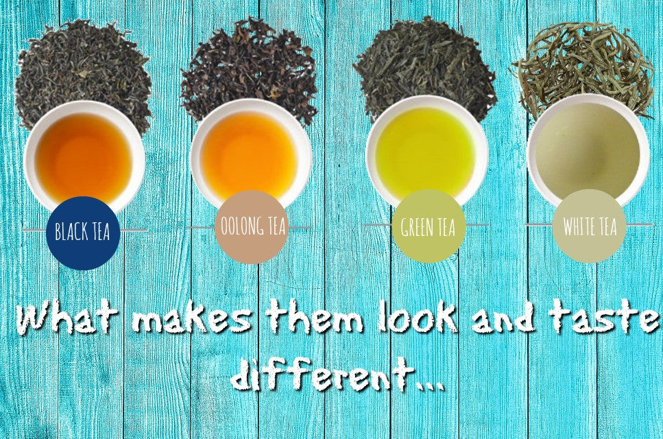 Different Tea Hd What makes them different? – Tea Desire