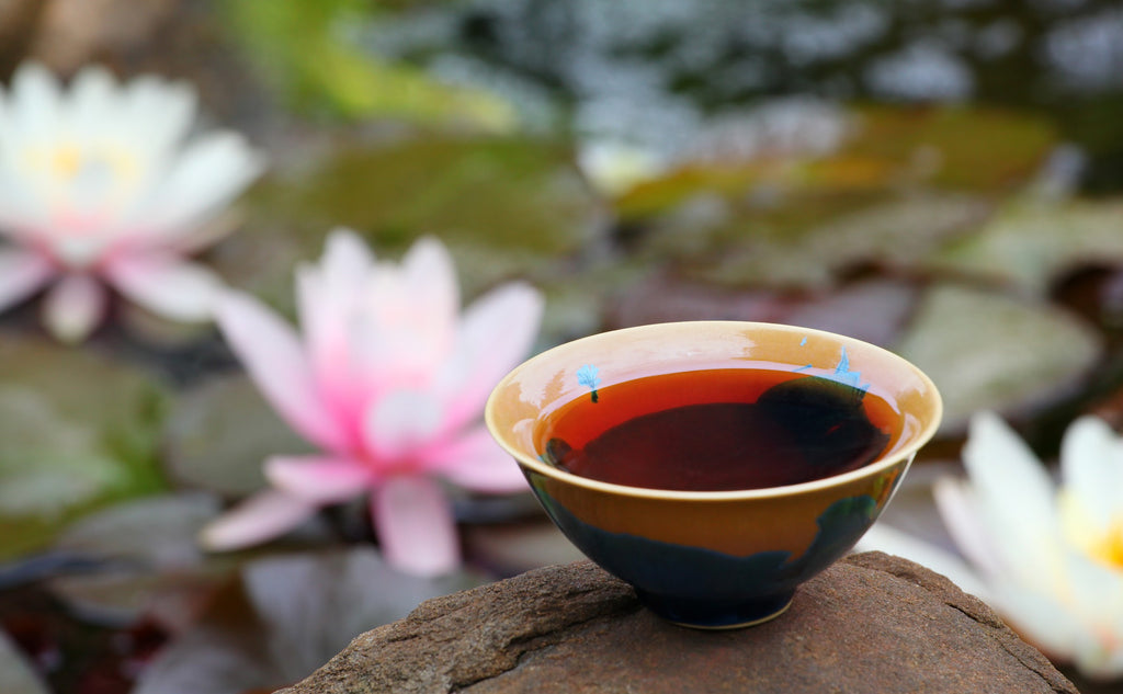 Pu Erh Tea Collection | Tea Desire