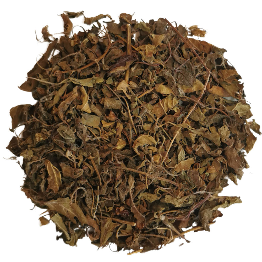 organic holy basil (tulsi) - Tea Desire